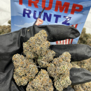 Trump Runtz Premium Indoor Flower