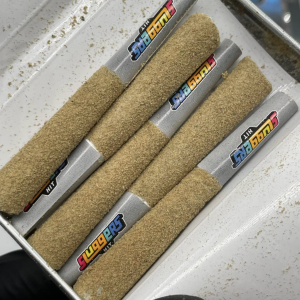 SLUGGERS HIT PREROLLS